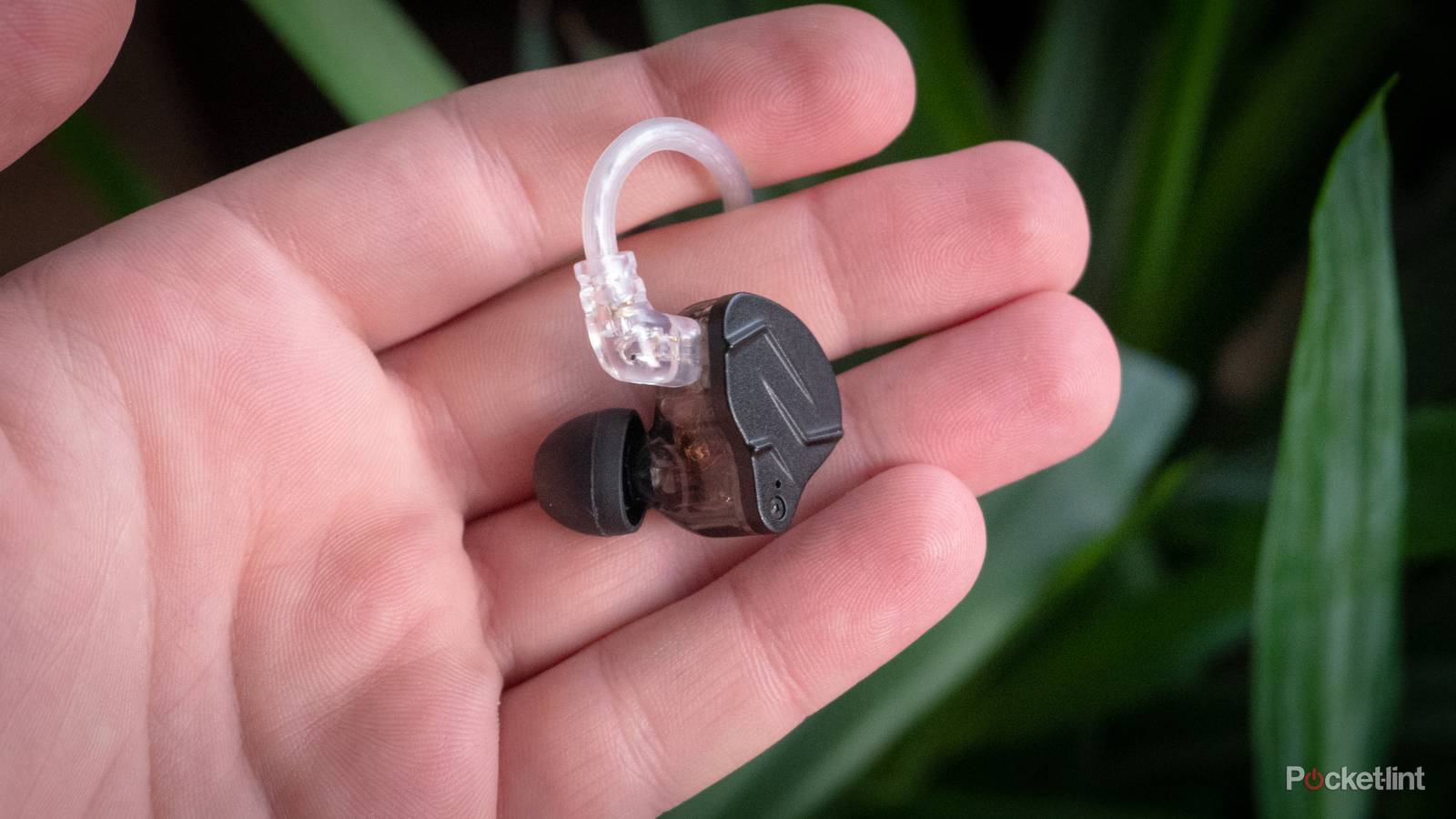 Why these Chi-Fi wired headphones are my favorite 2024 accessory