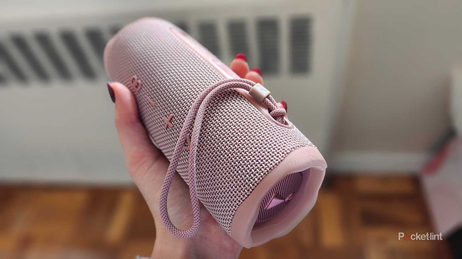 4 reasons to get the JBL Flip 6 over the JBL Charge 5