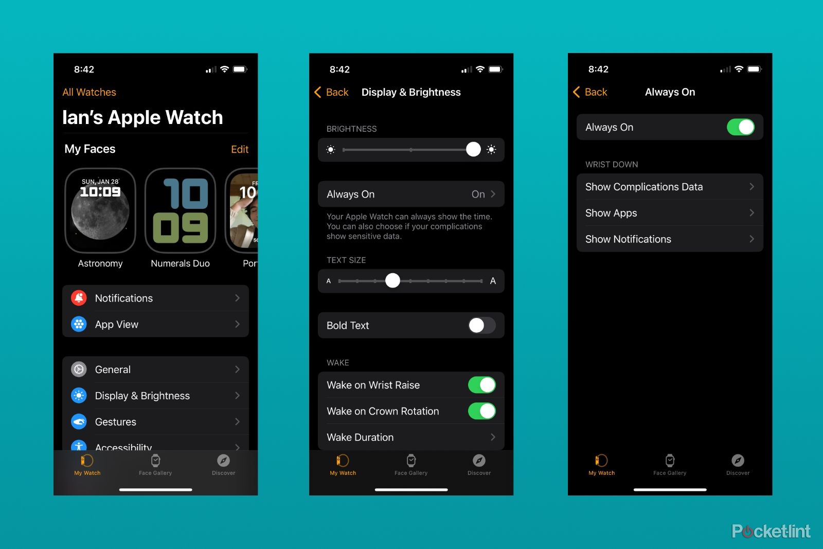 The Display & Brightness menus in the Apple Watch app.