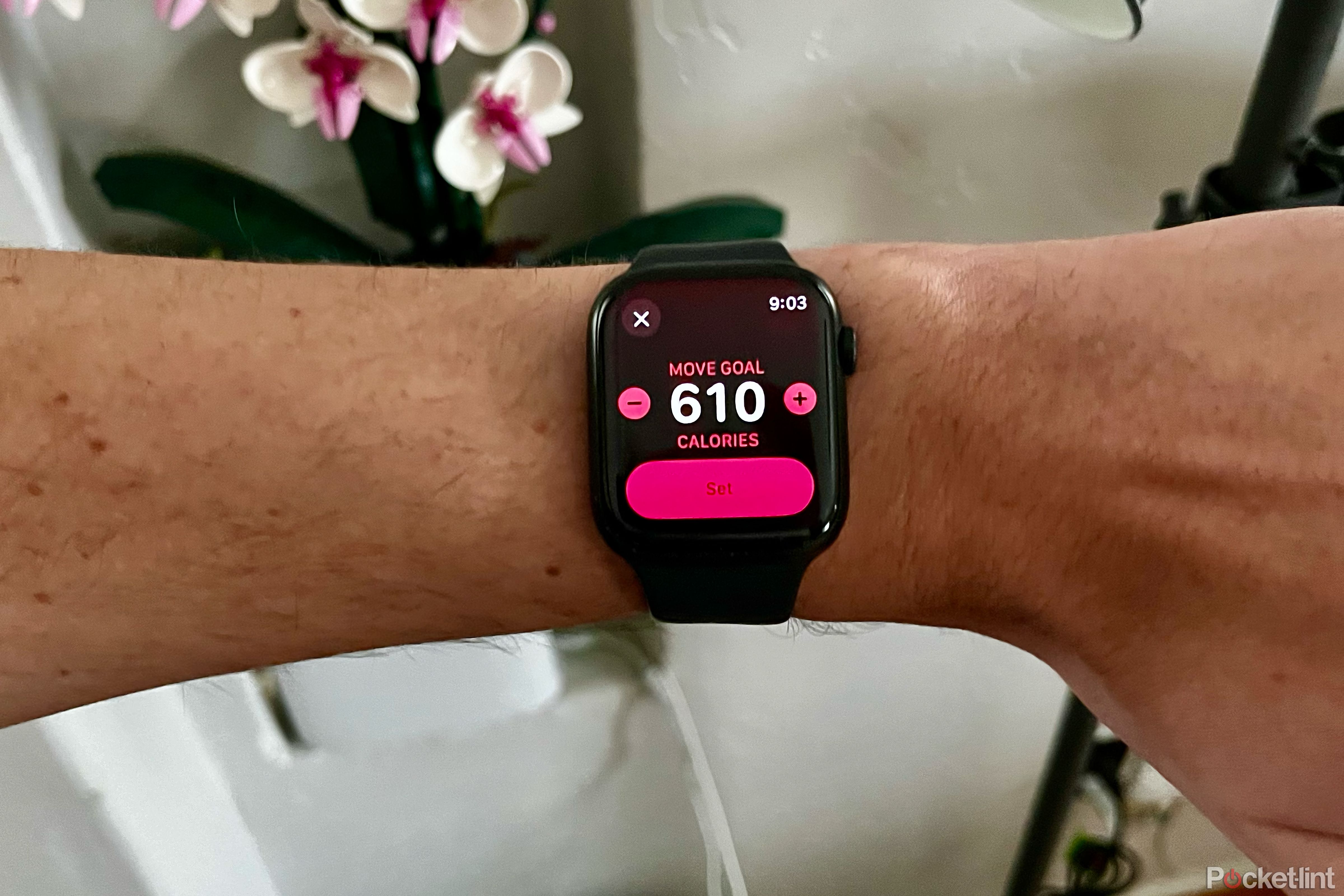 Adjust goals in the Apple Watch Activity app.