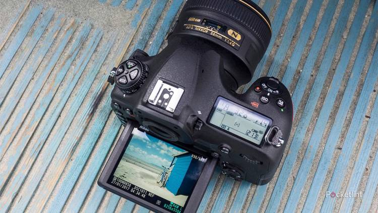 Best DSLR cameras in 2024 - Main Image