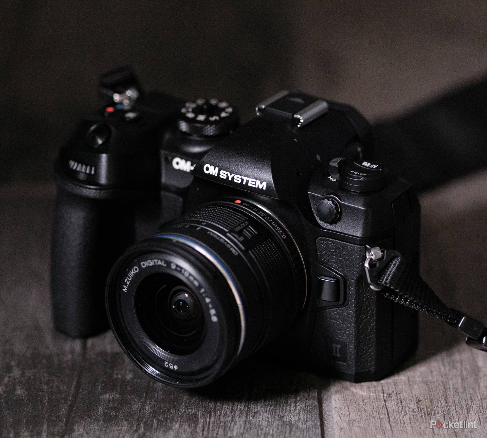 Wildlife Photography Omd Em1 Mark Ii Review OM System OM-1 Mark II