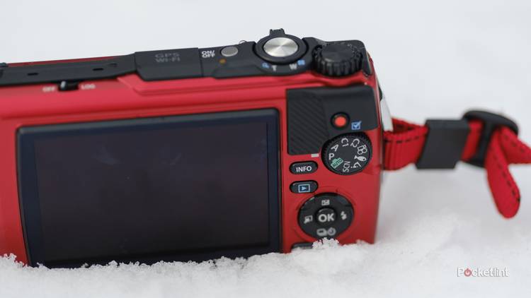 Best compact cameras in 2024