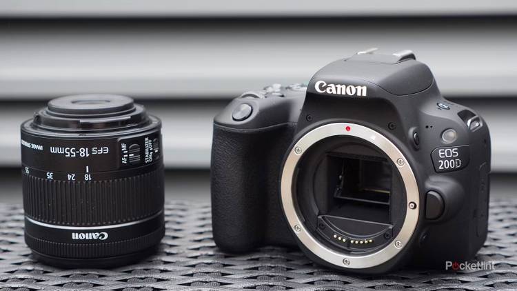 Dslr Camera Latest Model Best DSLR cameras in 2024