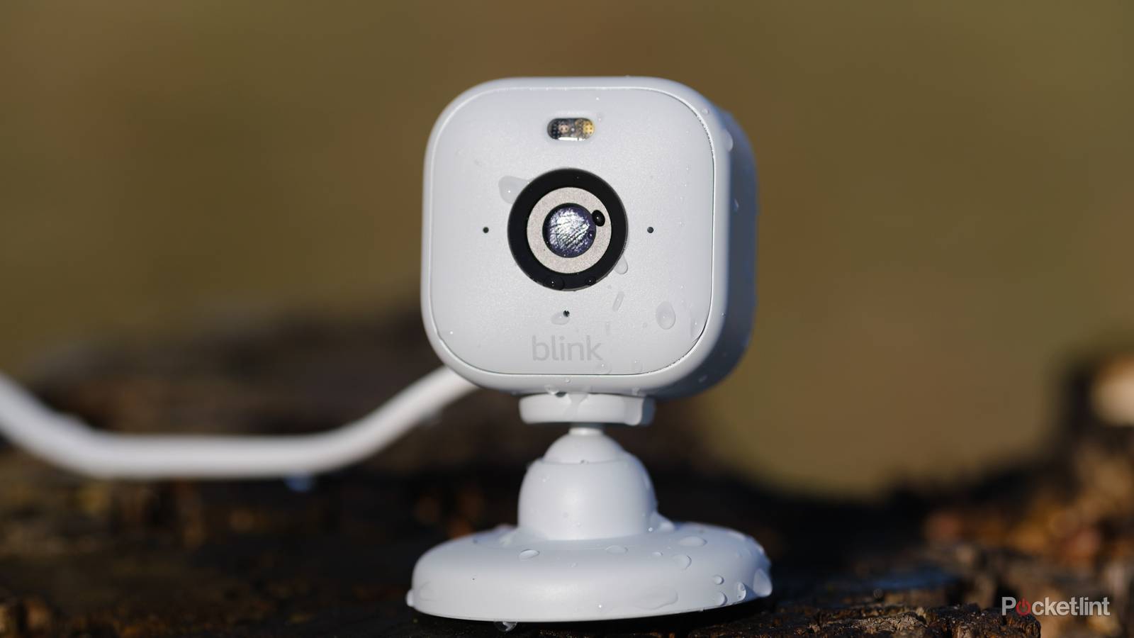 Blink App Blink Camera On Tv Blink Mini Review: A Safer Wyze