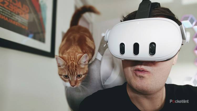 Meta Quest 3 Plus Cat
