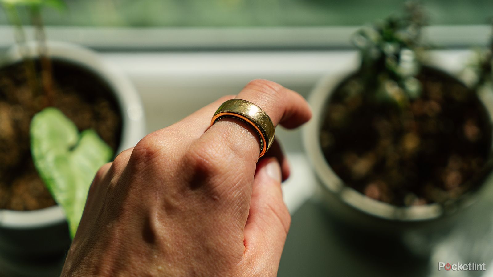 The Oura Ring on an index finger in front of plants on a windowsill.
