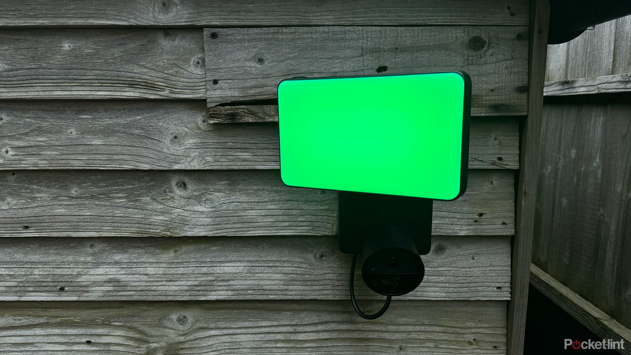 philips hue secure floodlight green