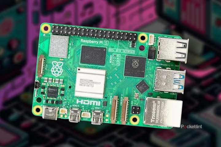 Lint Raspberry Jacob Fox | Pocket-lint