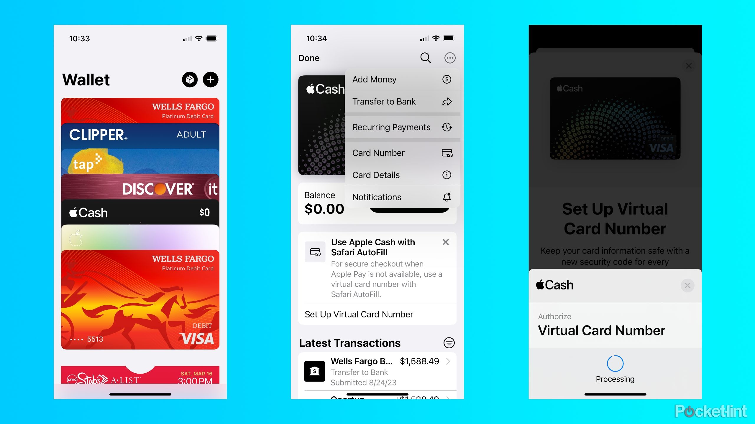 Setting up Apple Cash virtual card number in the Wallet app.