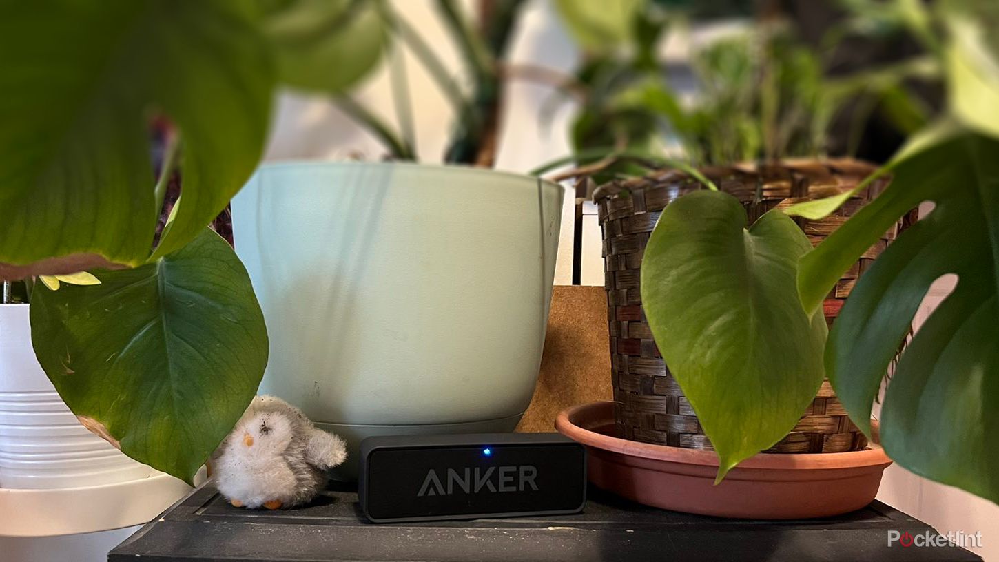 Anker Soundcore bluetooth speaker amid plants