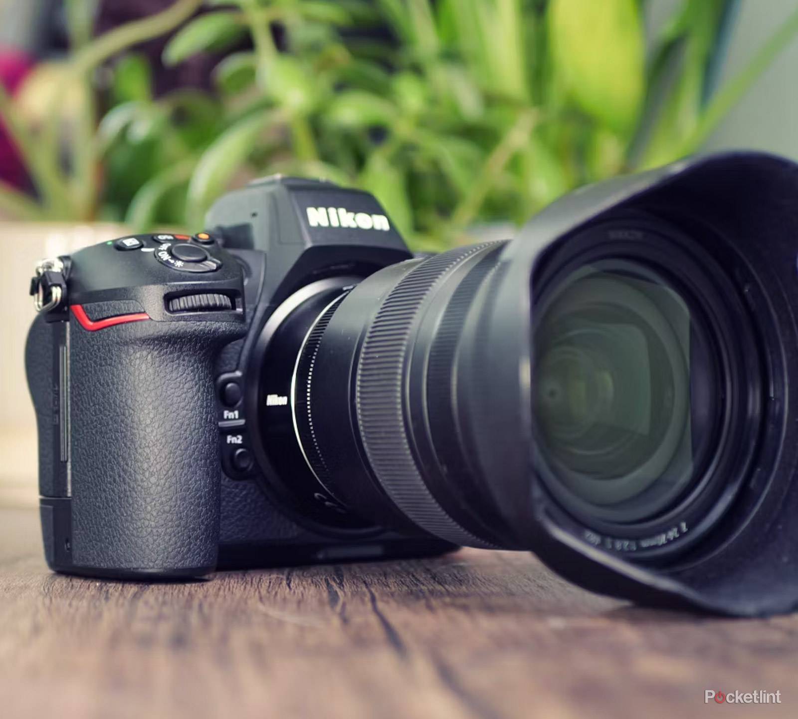 Camera Lens Best Mirrorless Cameras For Beginners 2021 Aps C Best