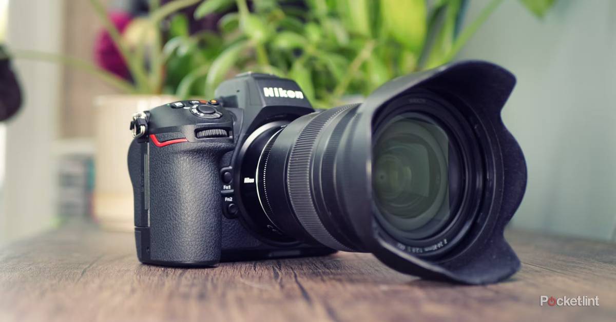 Mirrorless Cameras Best Professional Digital Camera For Beginners