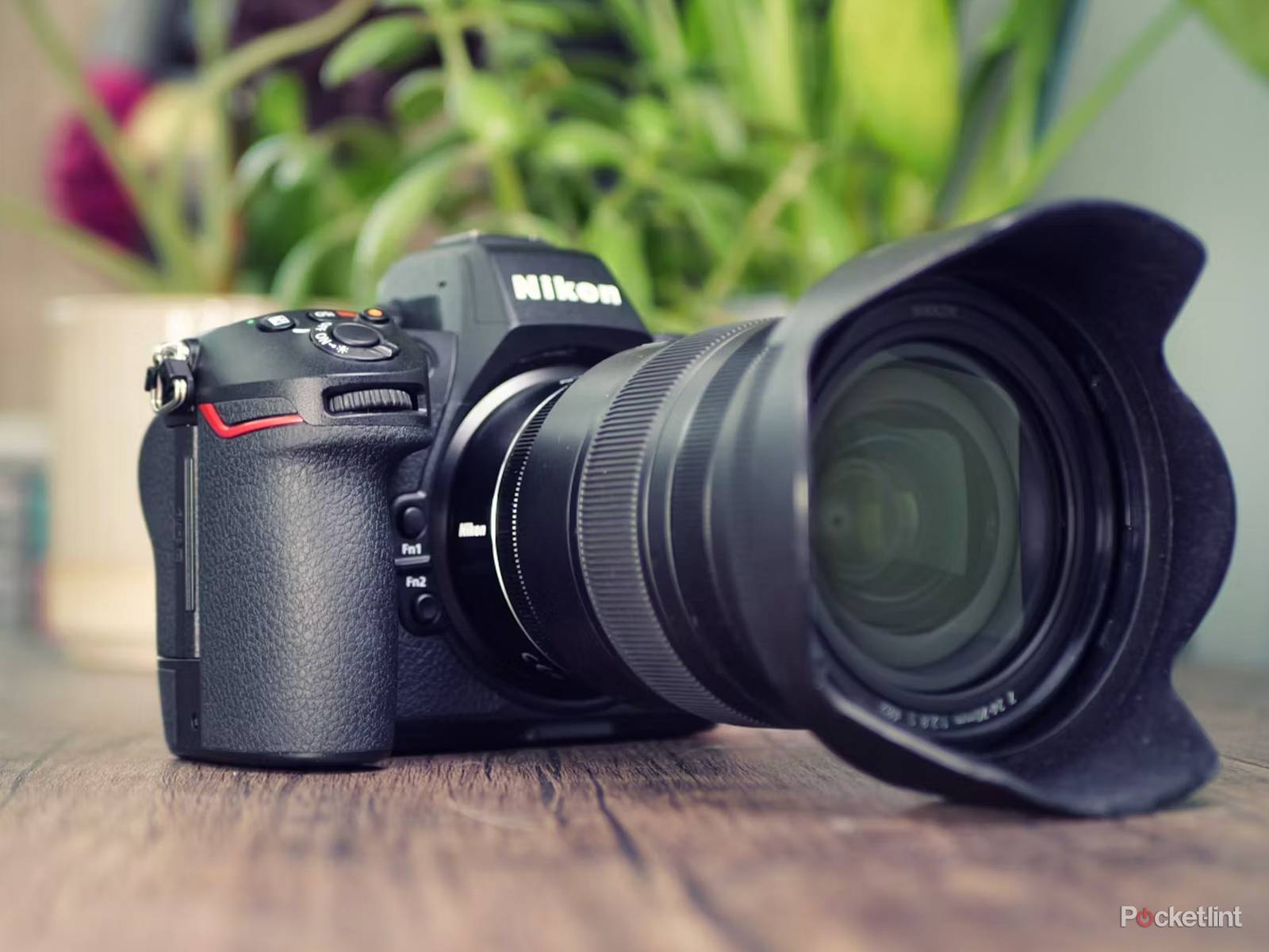 Dslr Cameras Entry Level Mirrorless Camera 2020 Canon Eos Best