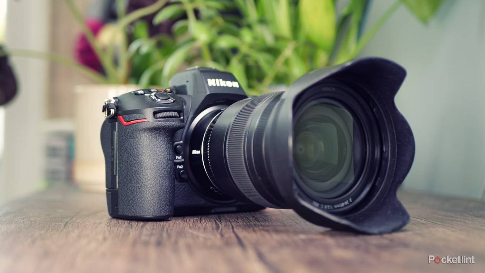 The best mirrorless cameras in 2024