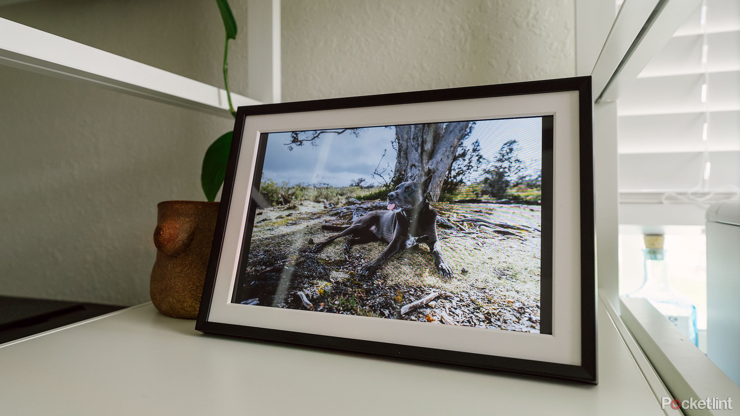 The Arzopa Frameo digital picture frame on a white shelf. 