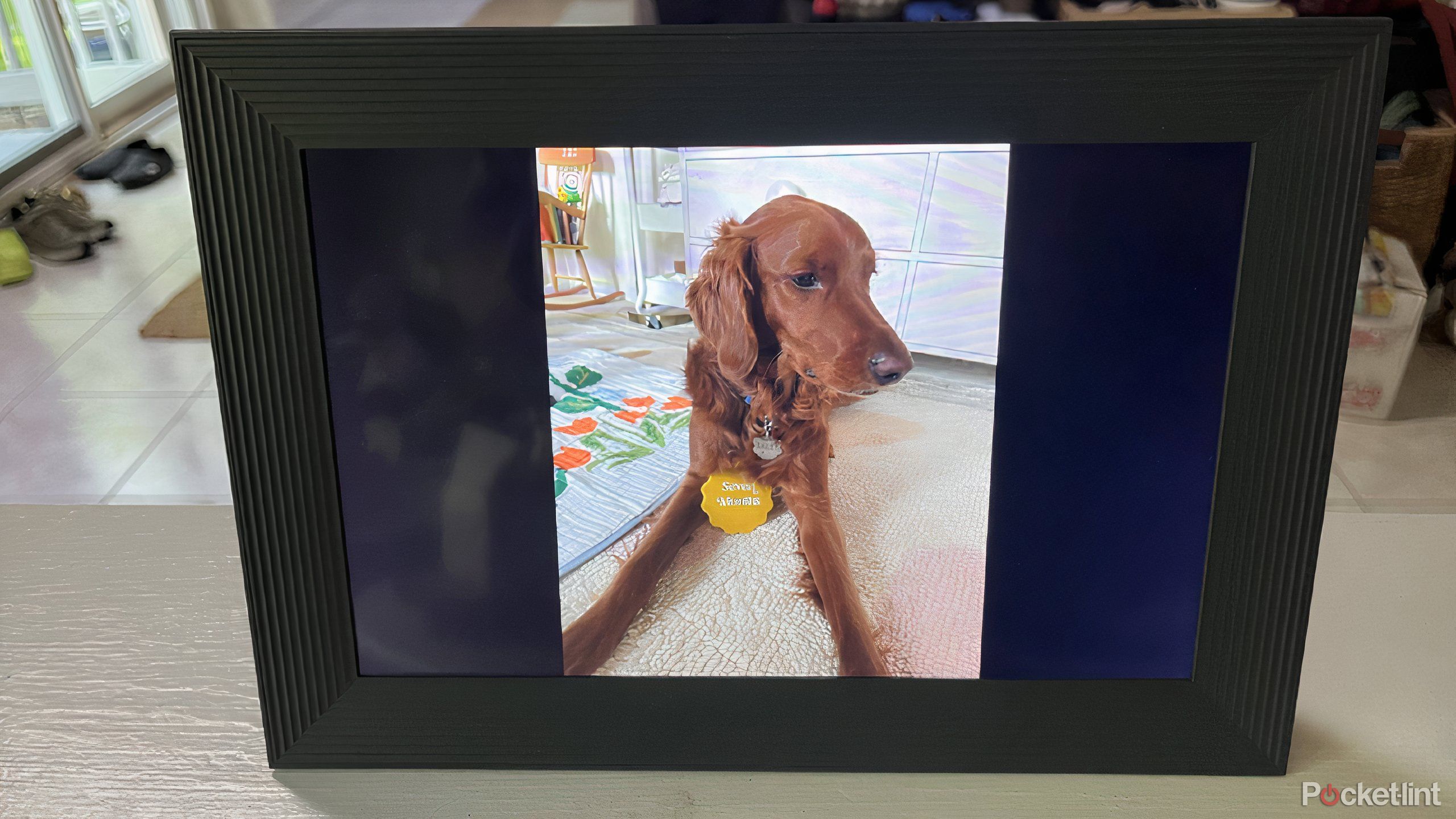 The Aura Carver digital frame with a dog on it.