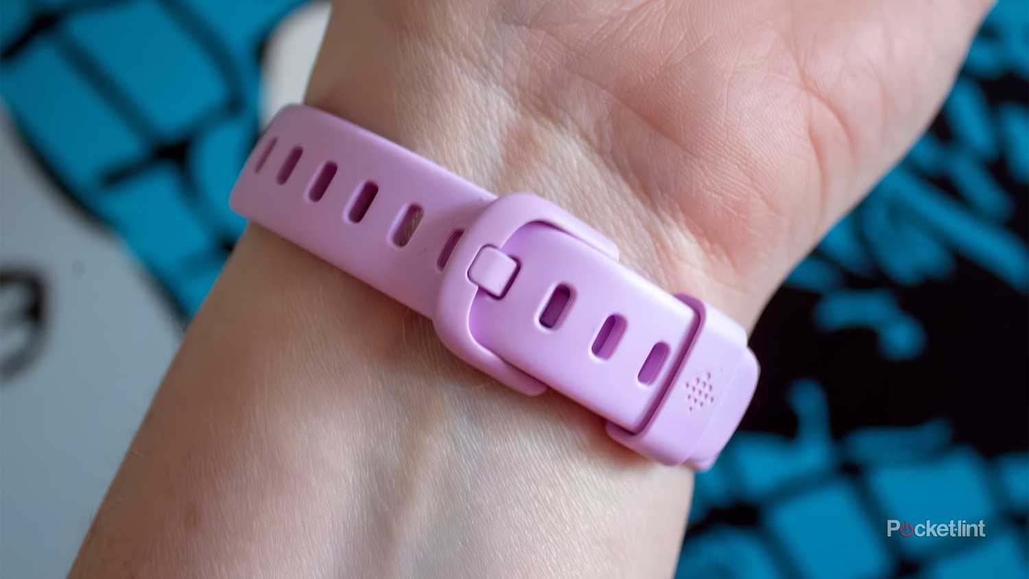 Best Fitbit trackers of 2024: Expert tested1