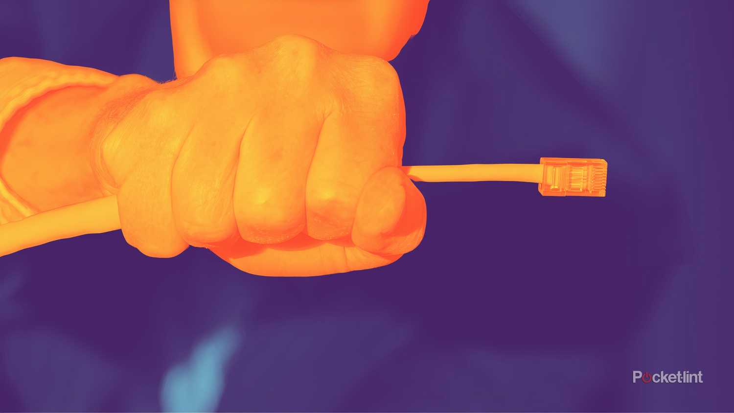 A hand holding an Ethernet cable.