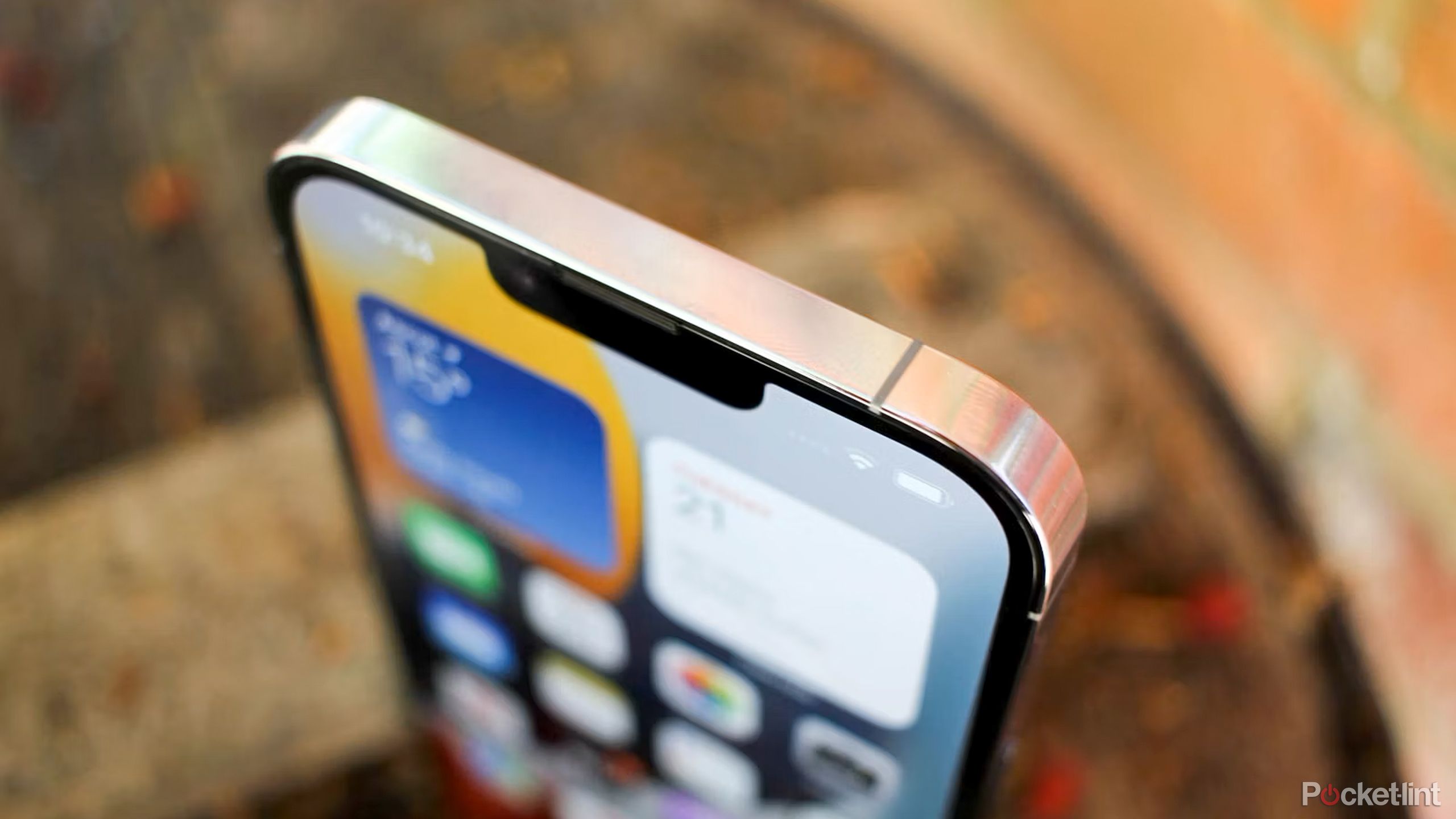 The display notch on an iPhone 14.
