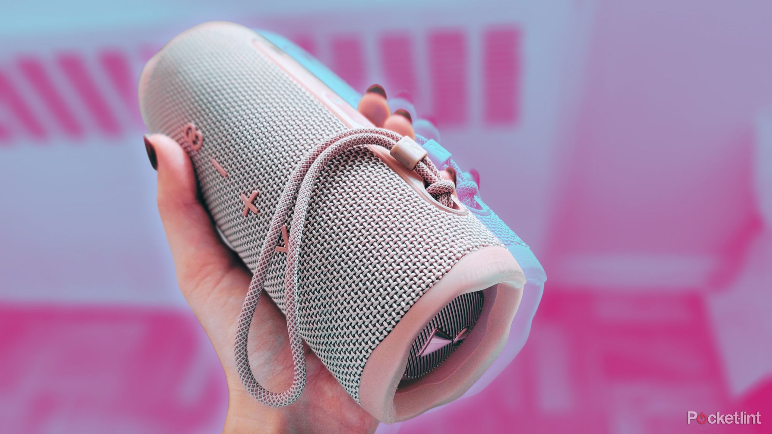 4 reasons to get the JBL Flip 6 over the JBL Charge 5