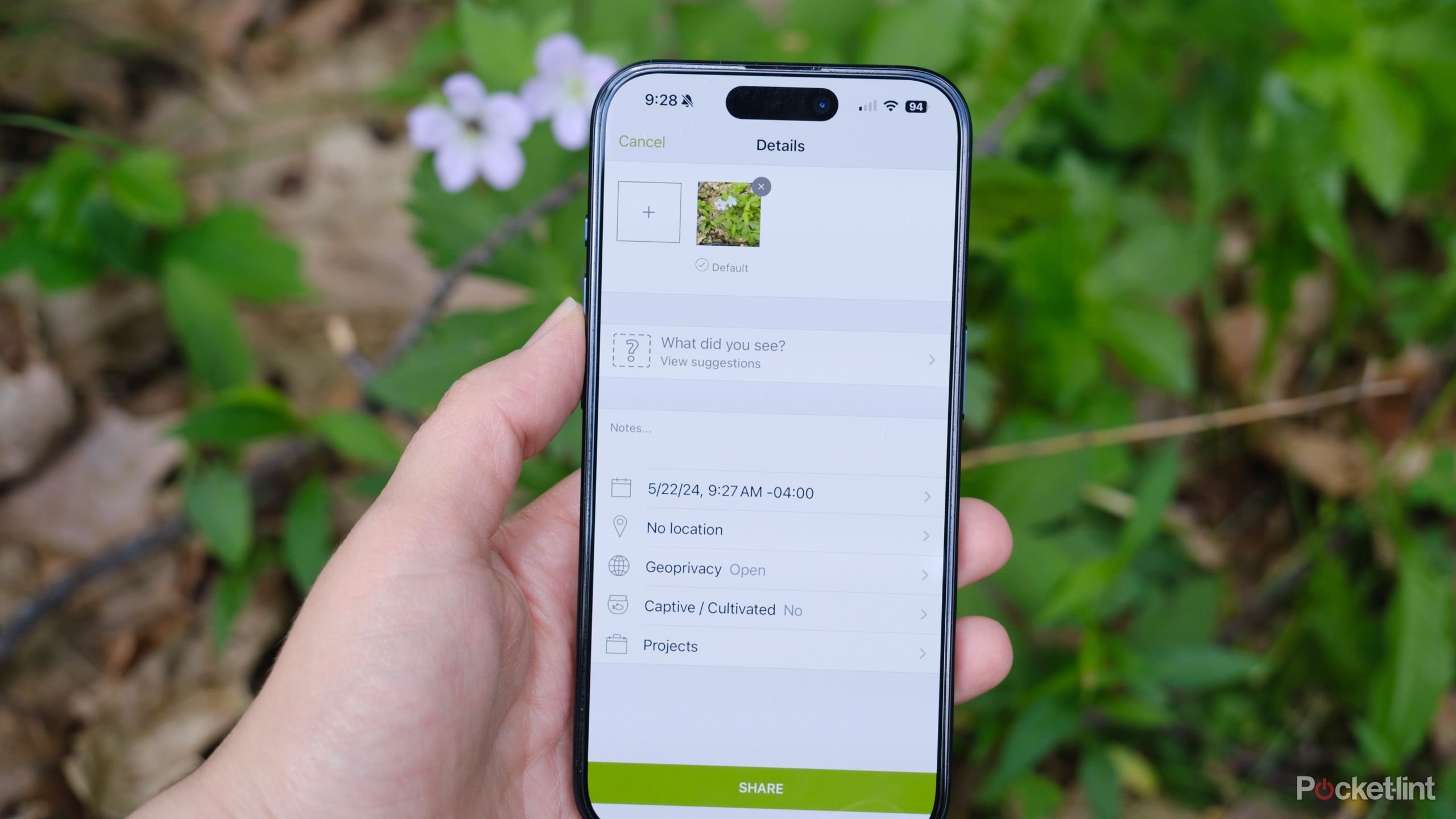 How I use my phone to identify plants for free