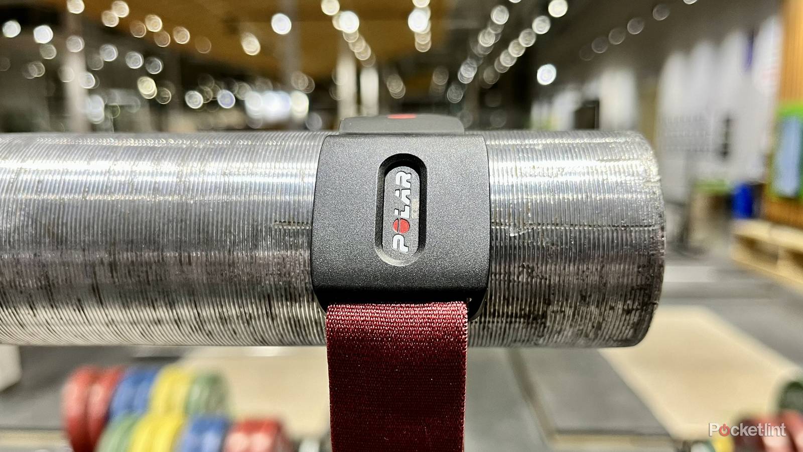 Is the Polar Verity Sense worth using in 2024? - Main Image