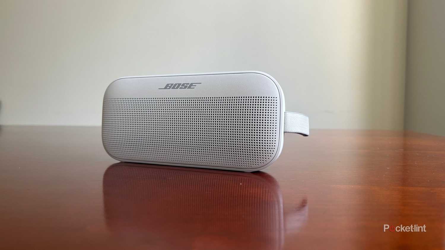 cheaper Bose SoundLink Max alternatives
