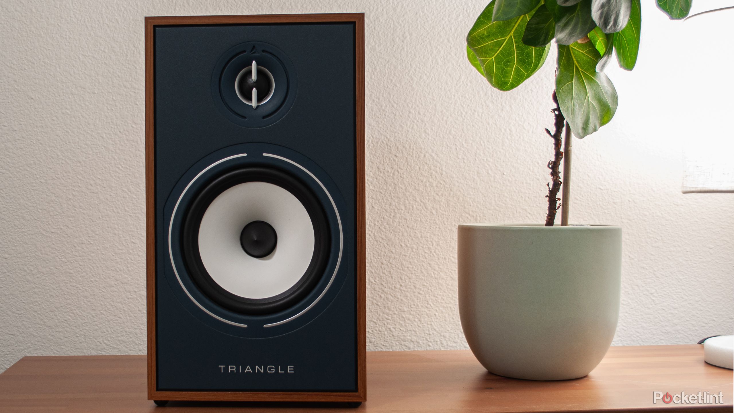 Triangle Borea BR03 Connect speaker review: Power without the price