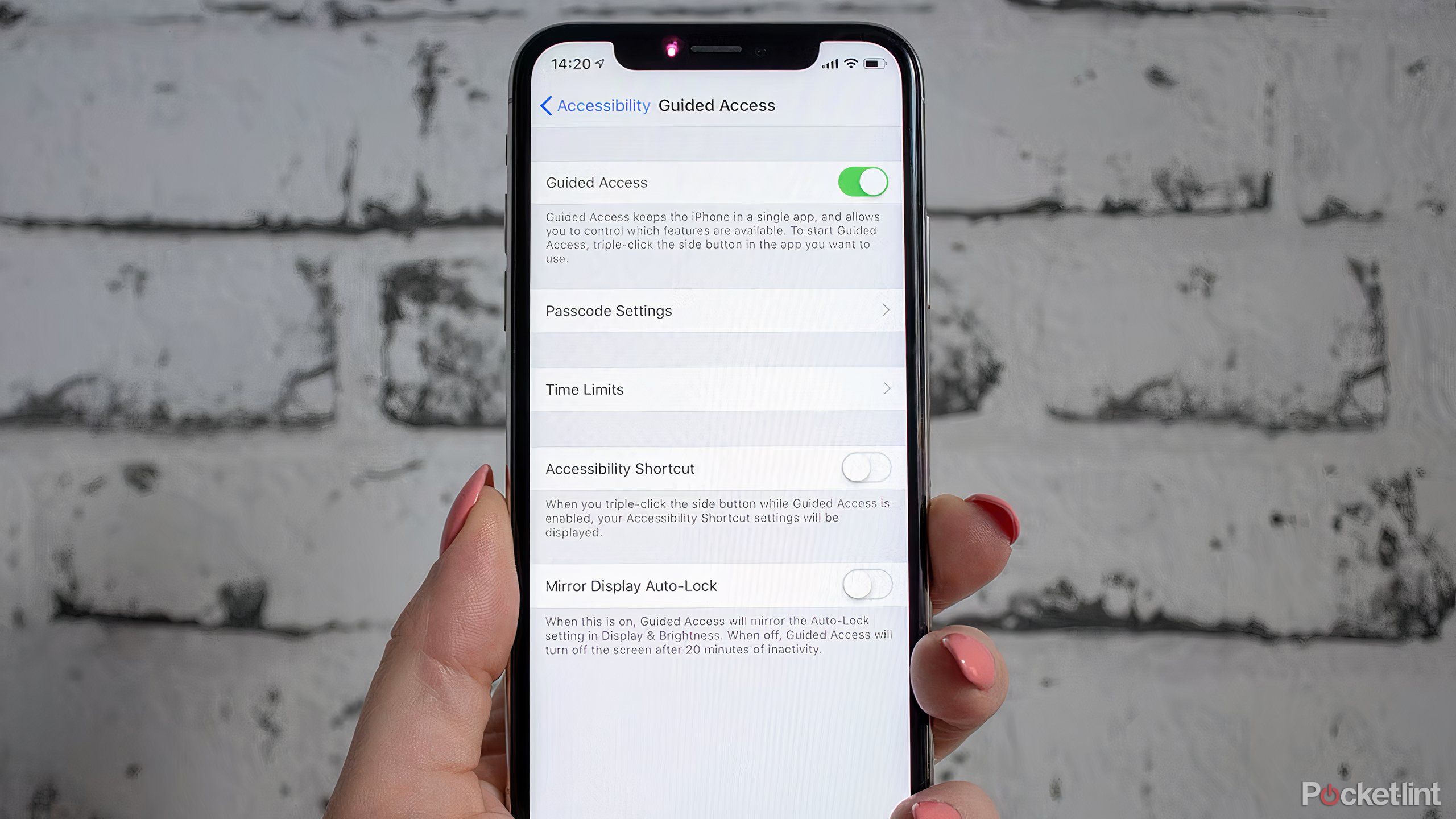 The Settings menu for Guided Access on an iPhone