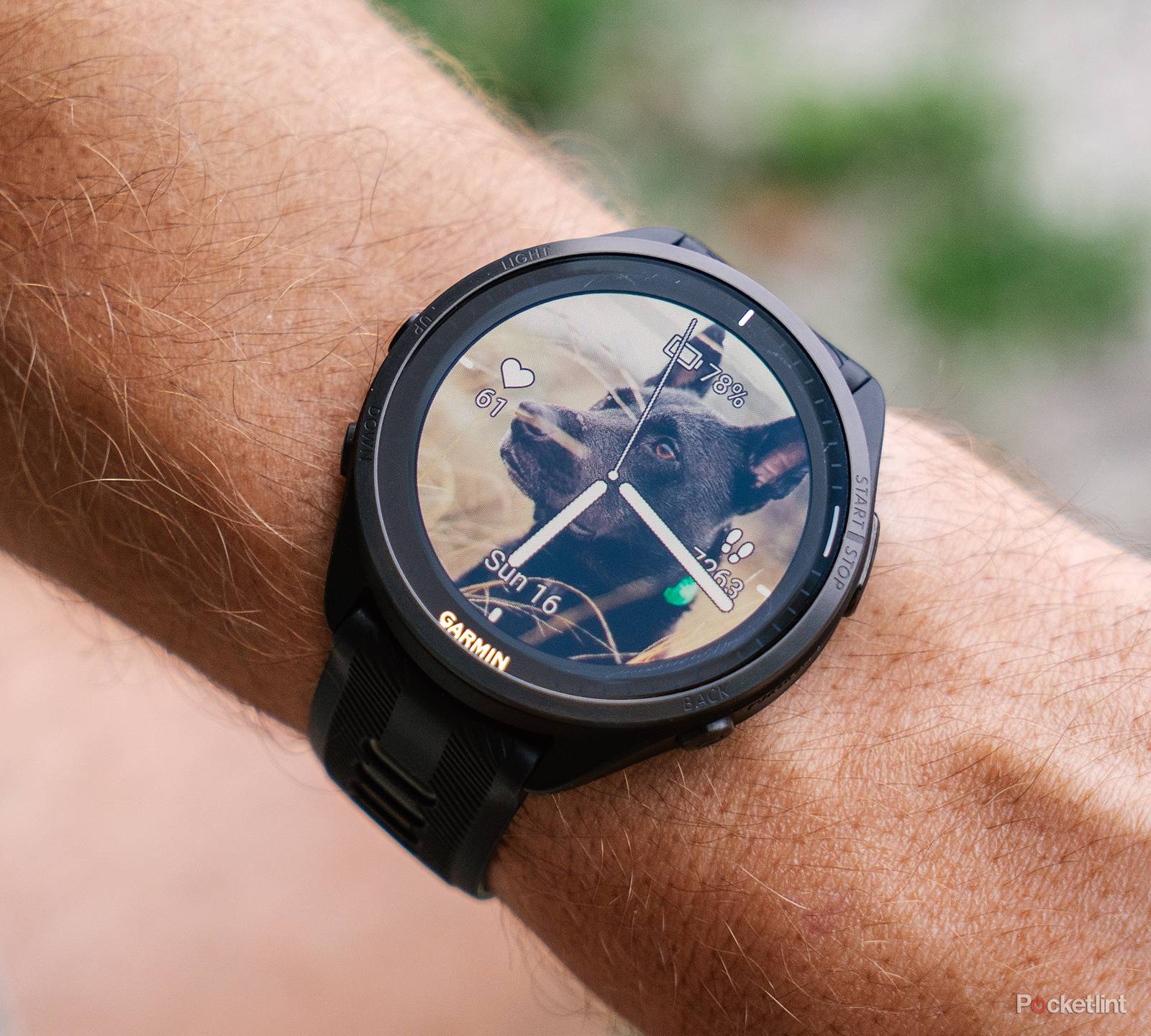 How to create a Garmin watch face from scratch