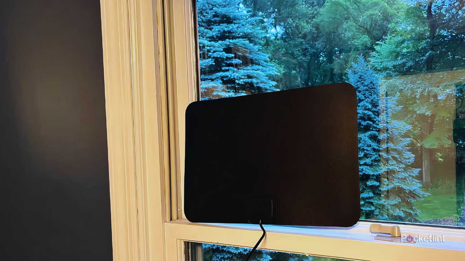 gesobyte digital TV antenna on a window