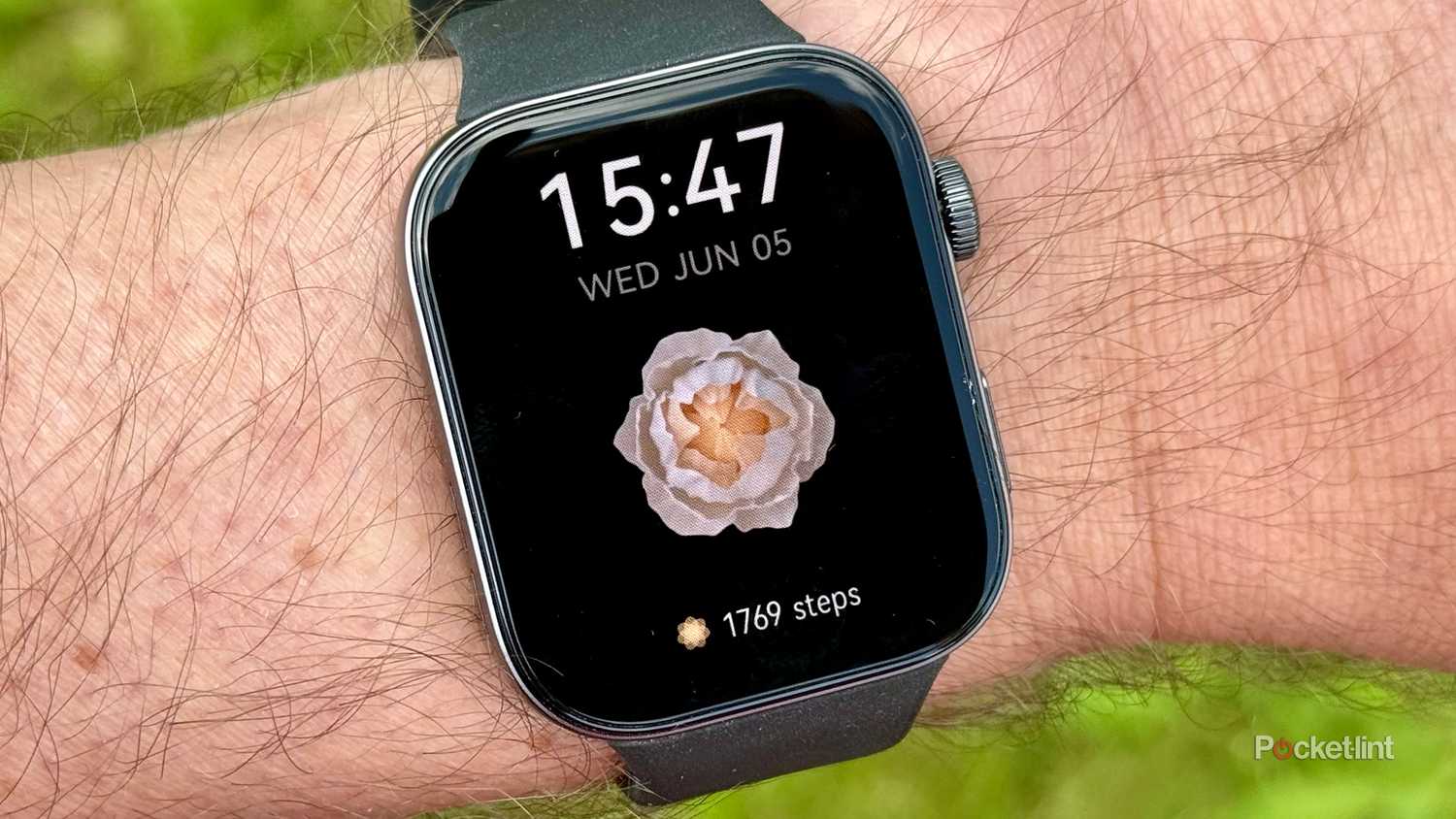 Watch Face Iwatch Step Counter Accuracy Step Counter Is The Apple