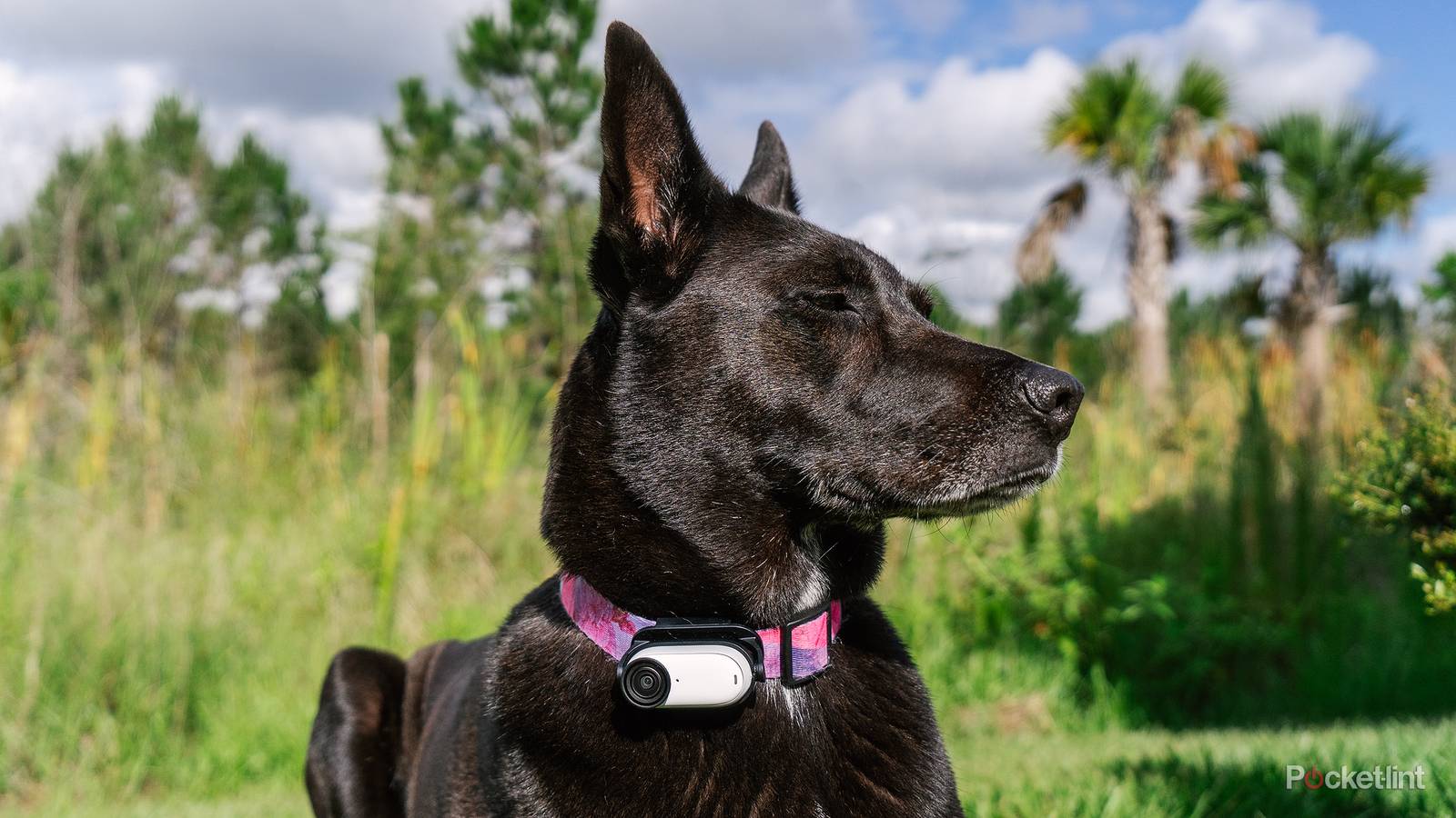 Insta360 GO 3S review: A tiny but capable 4K action camera