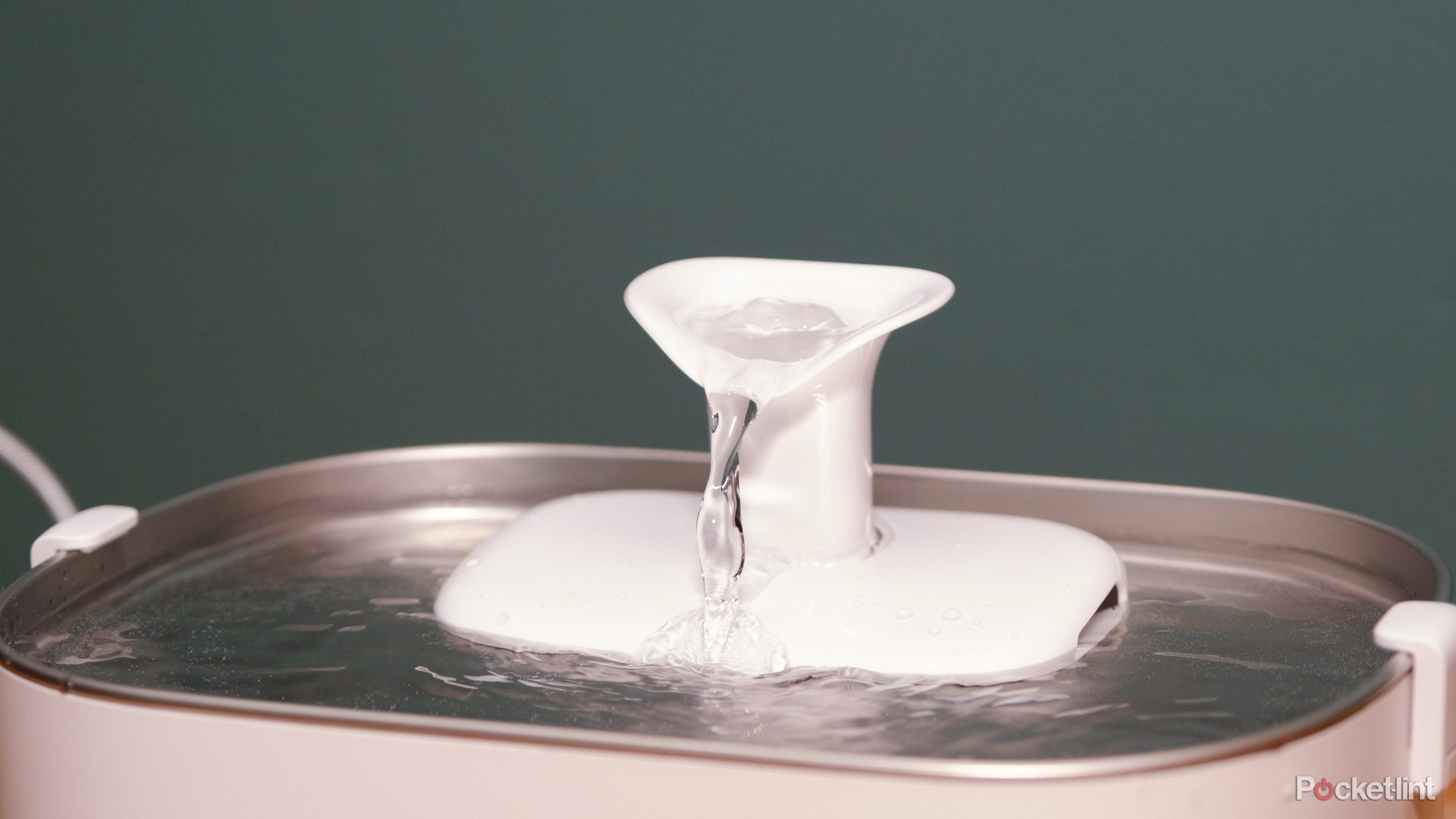 Petlibro Dockstream Review: Smart but pricey