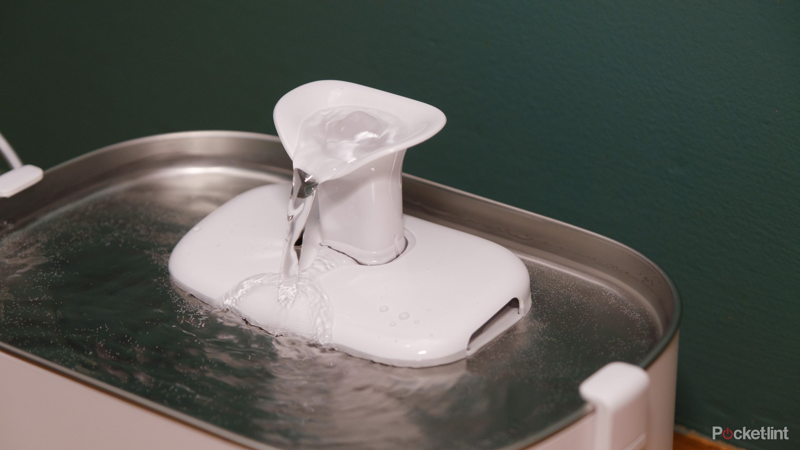 Petlibro Dockstream Review: Smart but pricey