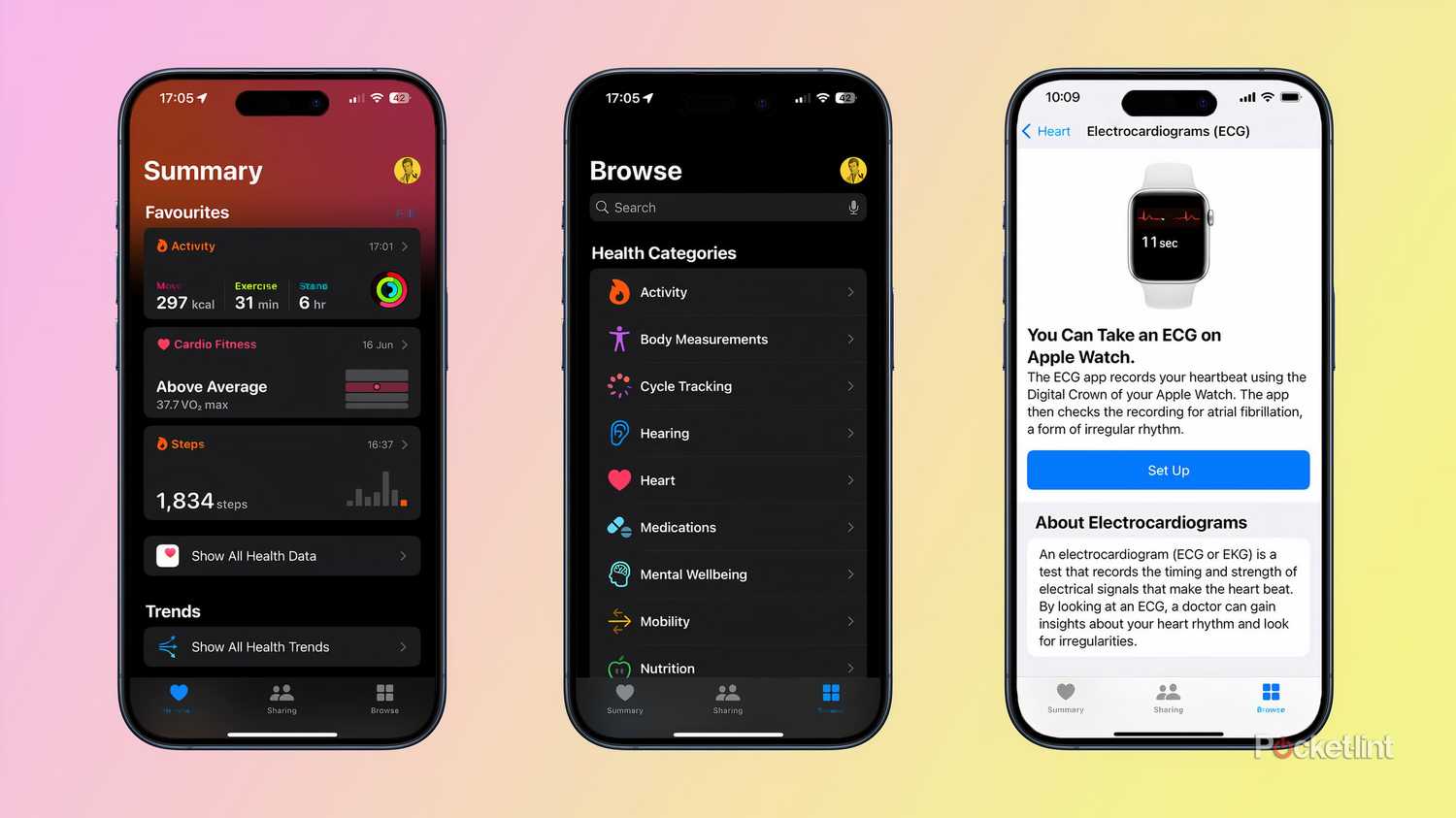 How to set up your Apple Watch's ECG heart health features