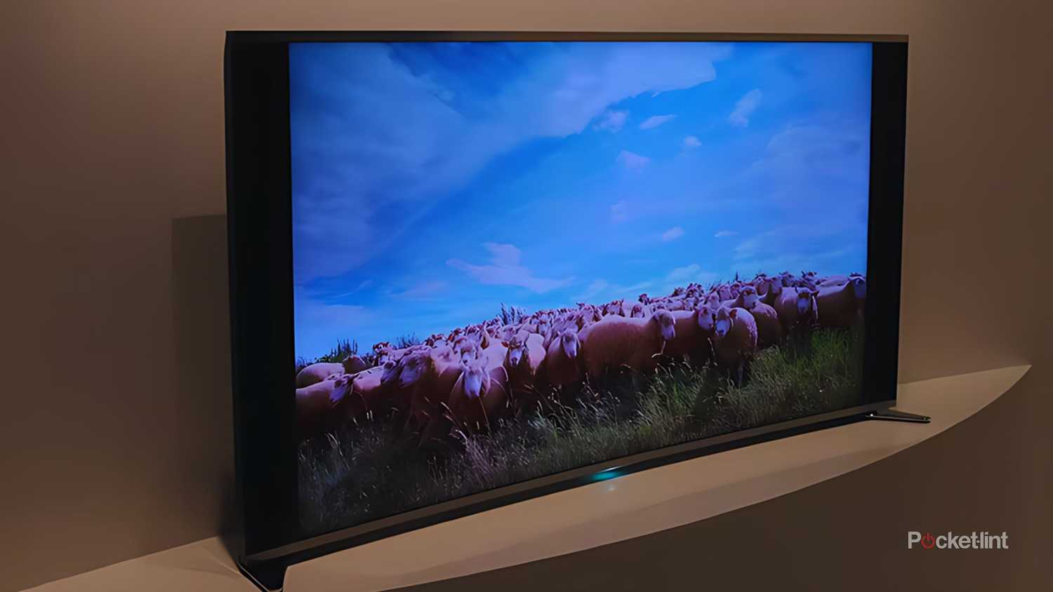 A curved Sony Bravia TV.