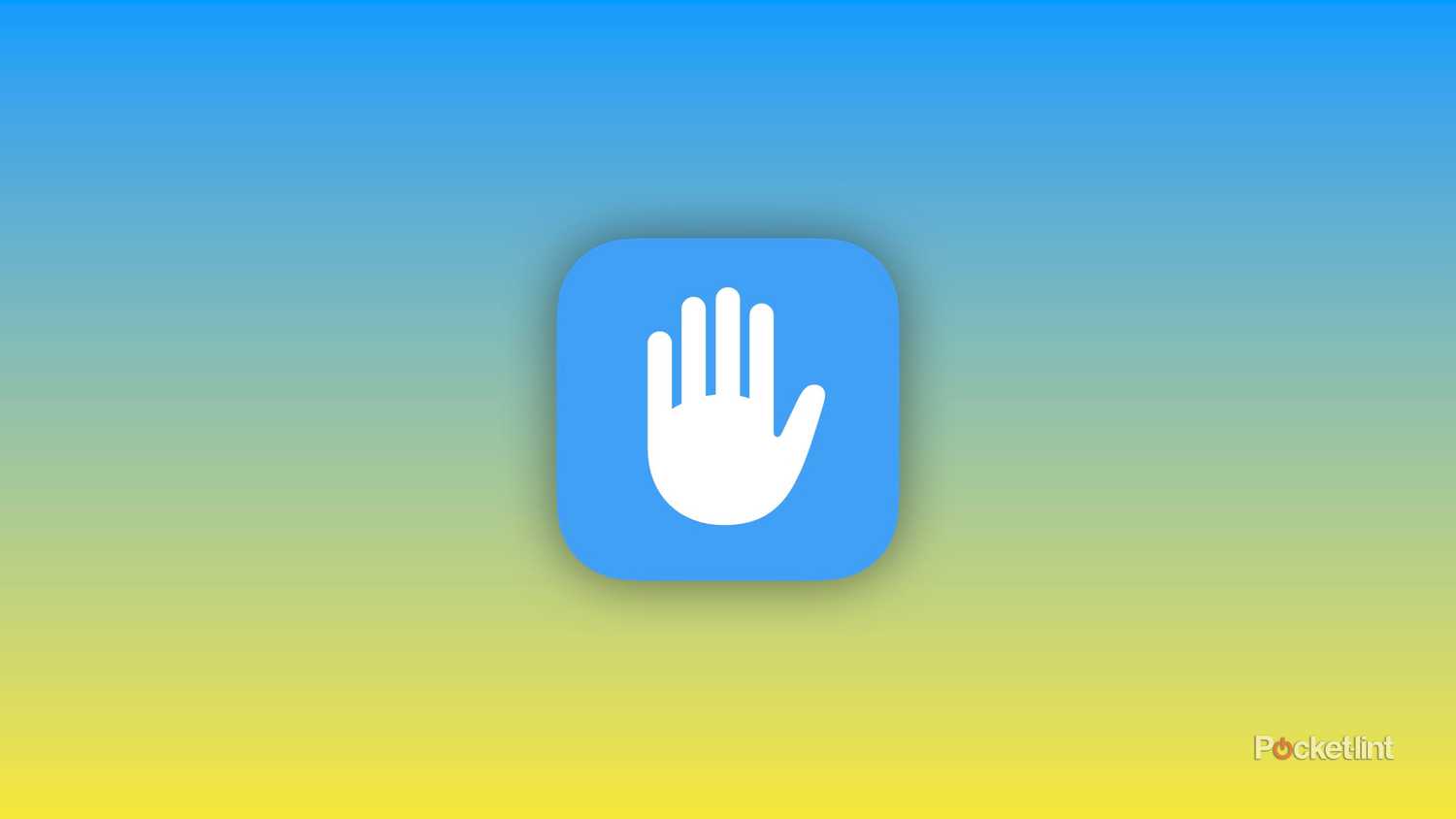 iOS Privacy Icon