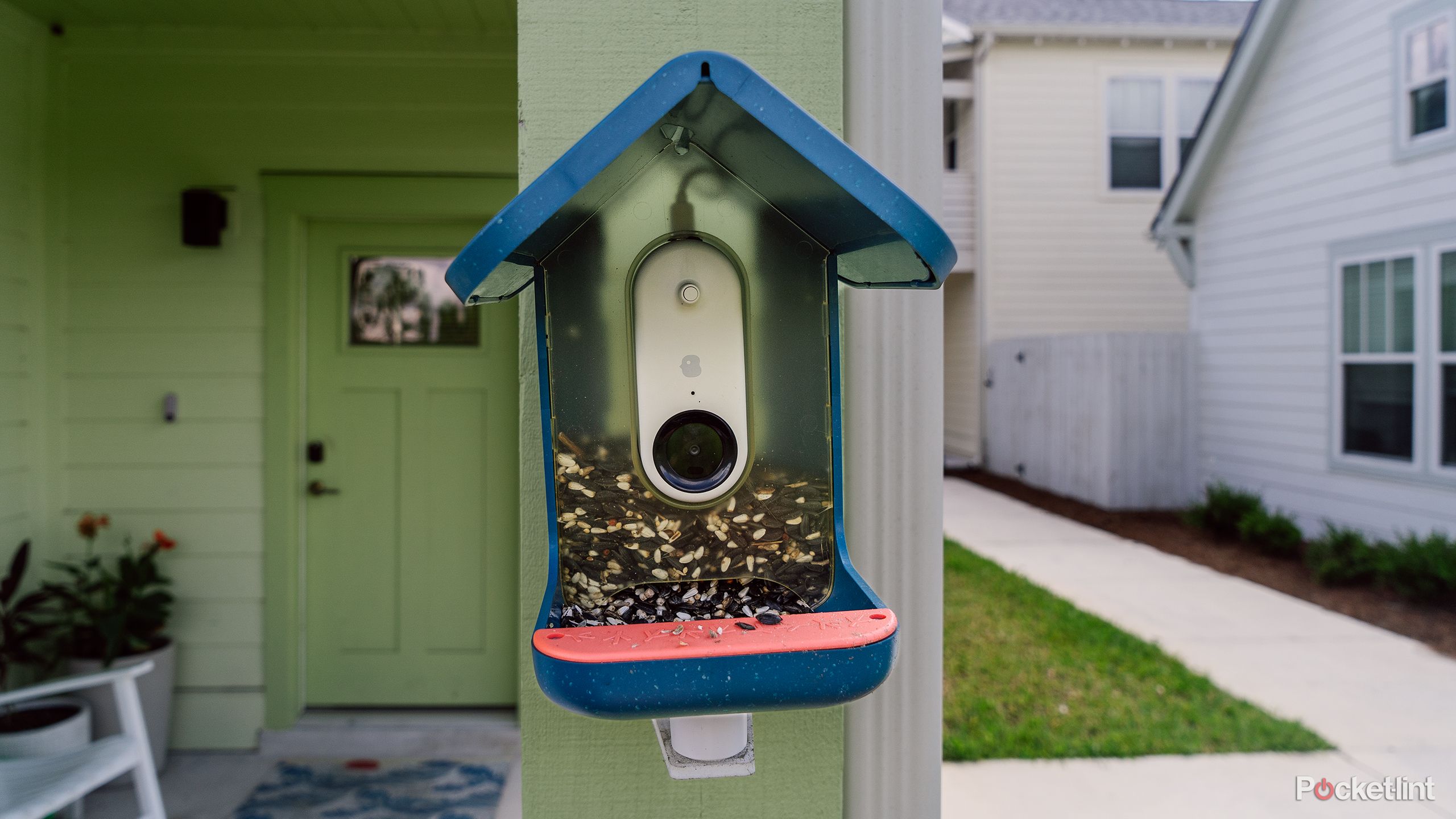The Bird Buddy Smart Bird Feeder on a post in front of a house. 