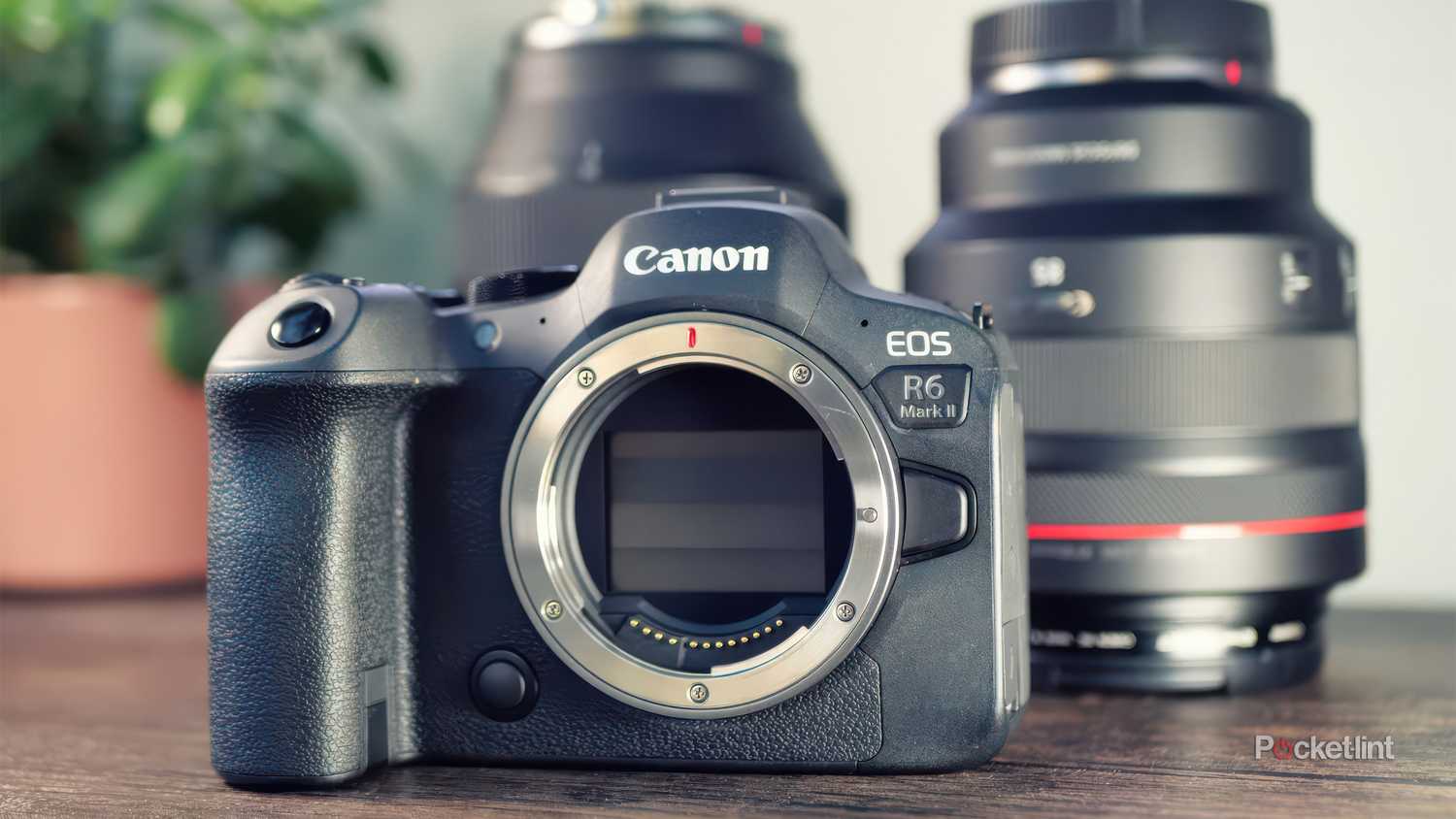 The Canon EOS R6 Mark II in front of two lenses. 