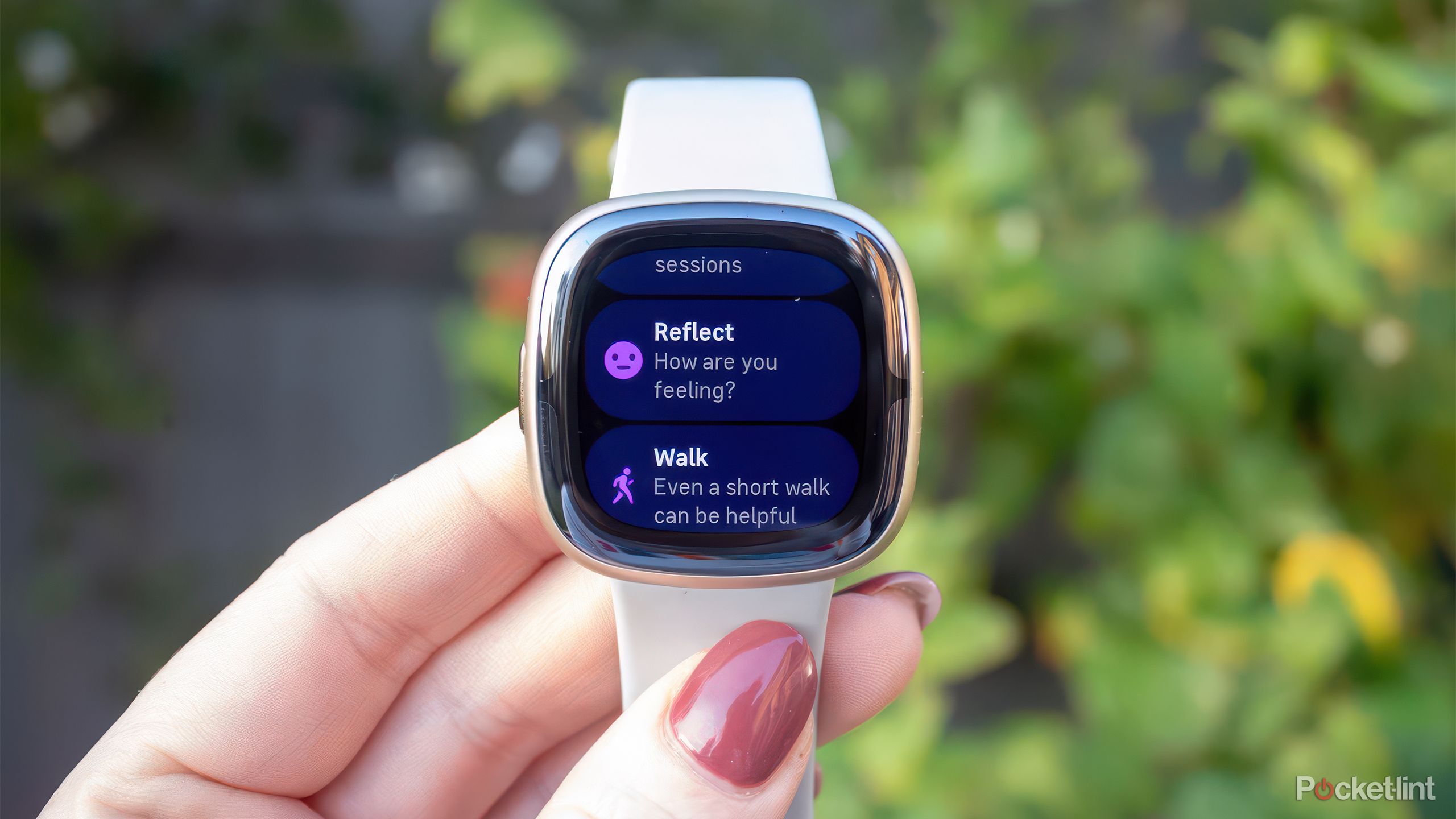 Wrist Best Price Fitbit Sense Fitbit Sense Smartwatch Best Price