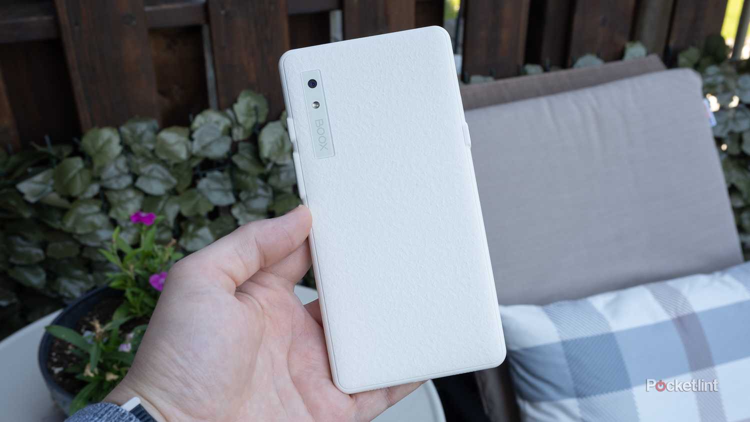 The textured back of the Palma