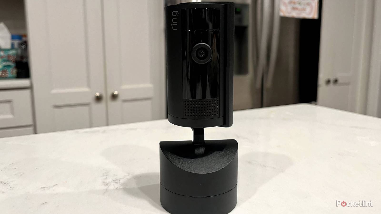 Ring Pan-Tilt Indoor Cam review: See more