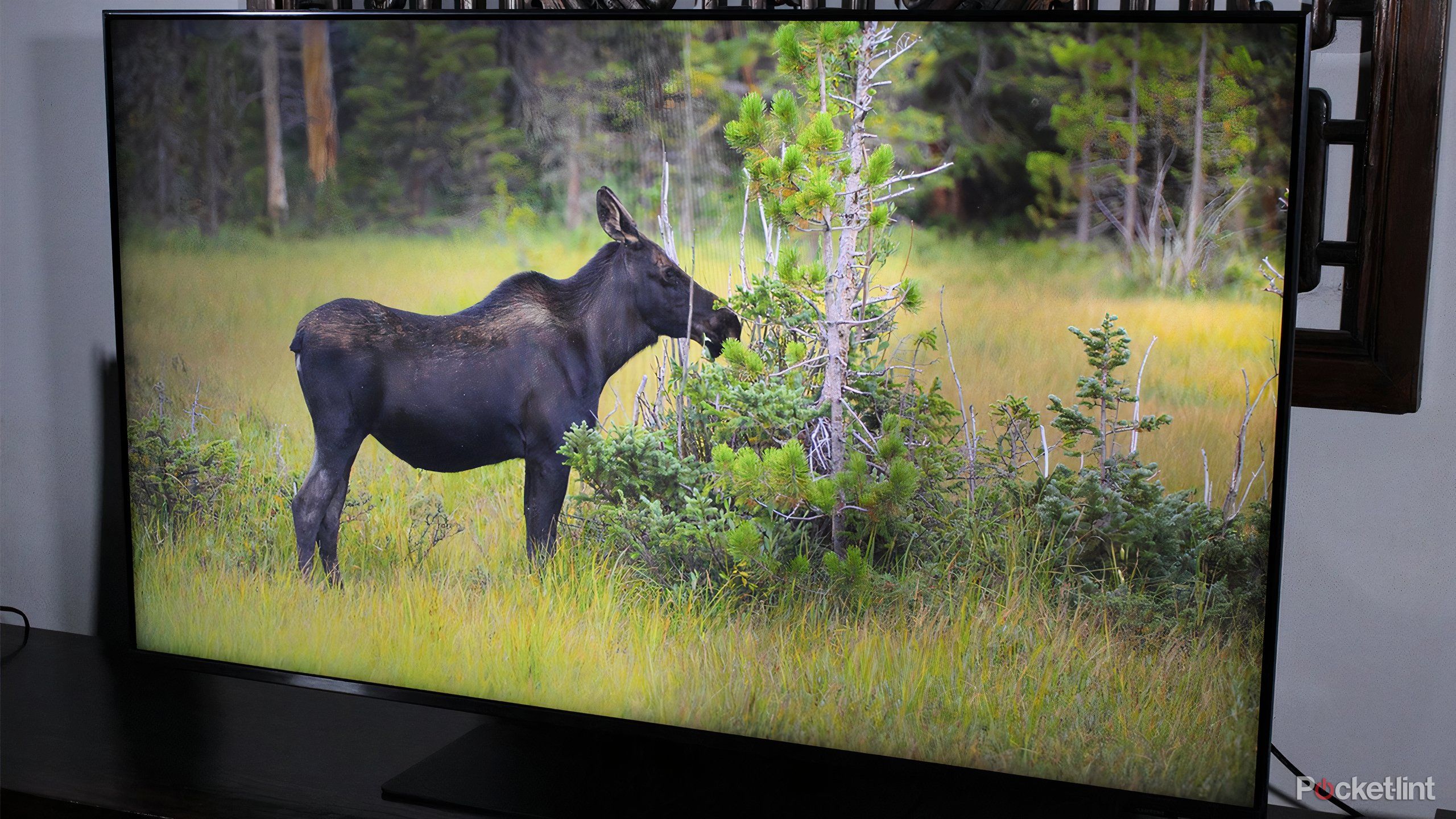 4 settings I use to fix washed-out colors on my TV