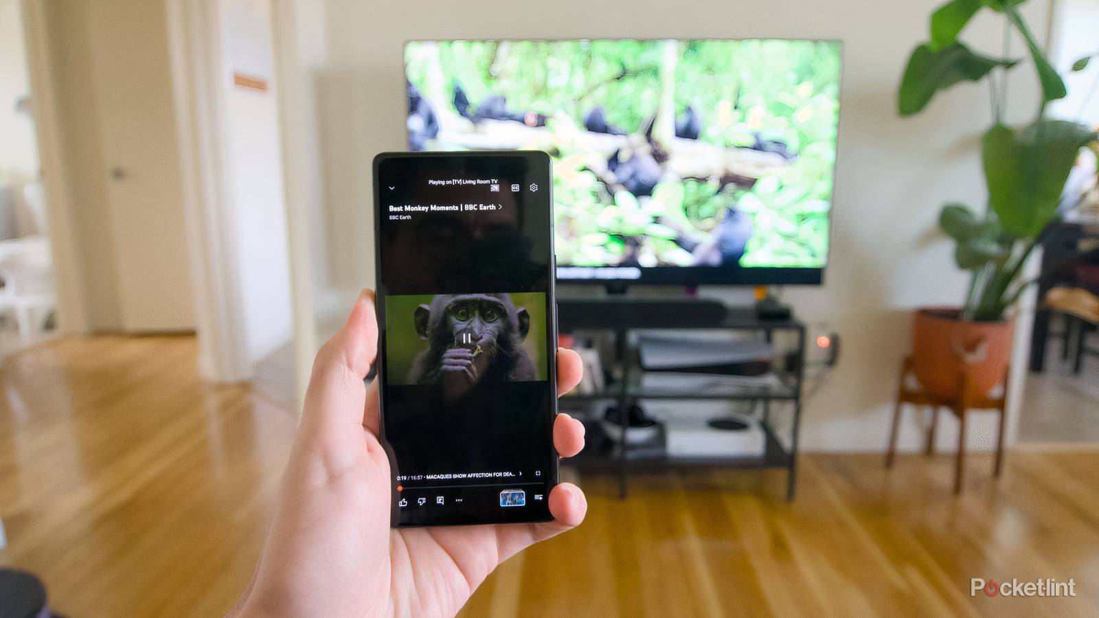 Streaming platforms hate this feature - you should keep using it