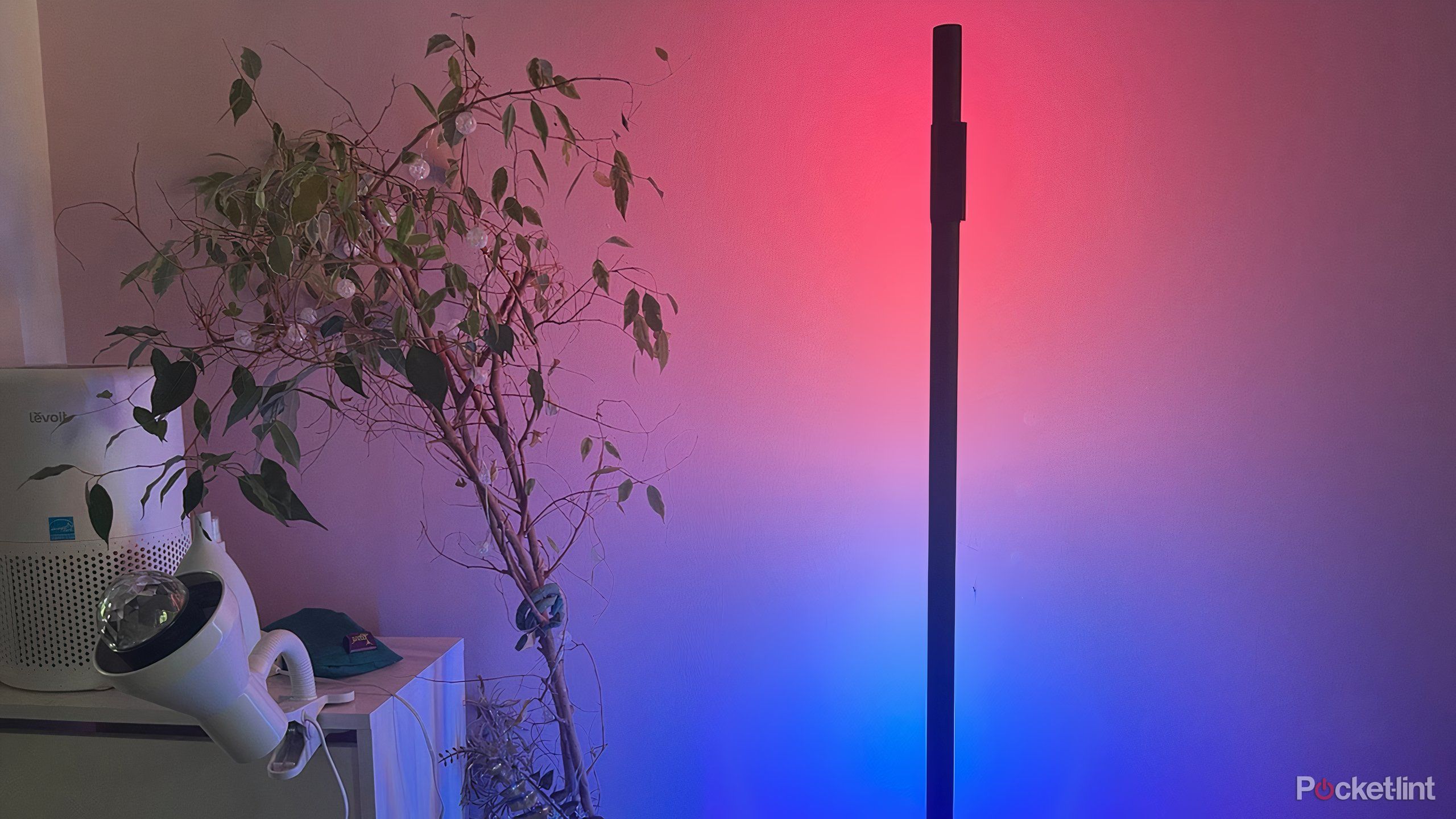 Govee-floor-lamp-2-34