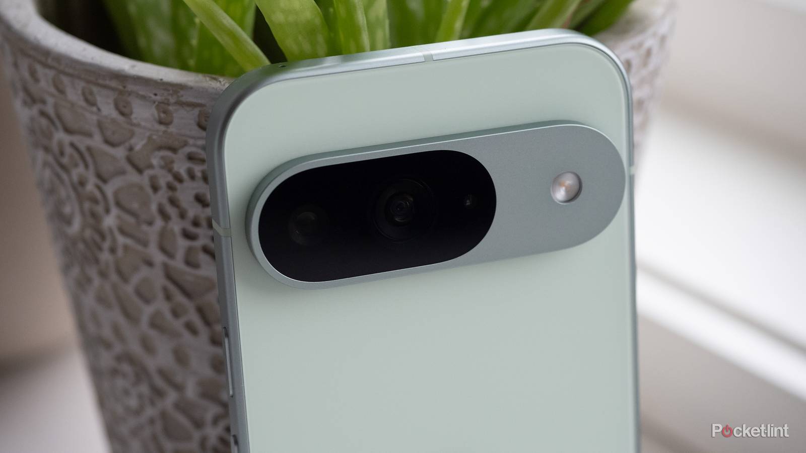 Google's Pixel 9 Pro in wintergreen.