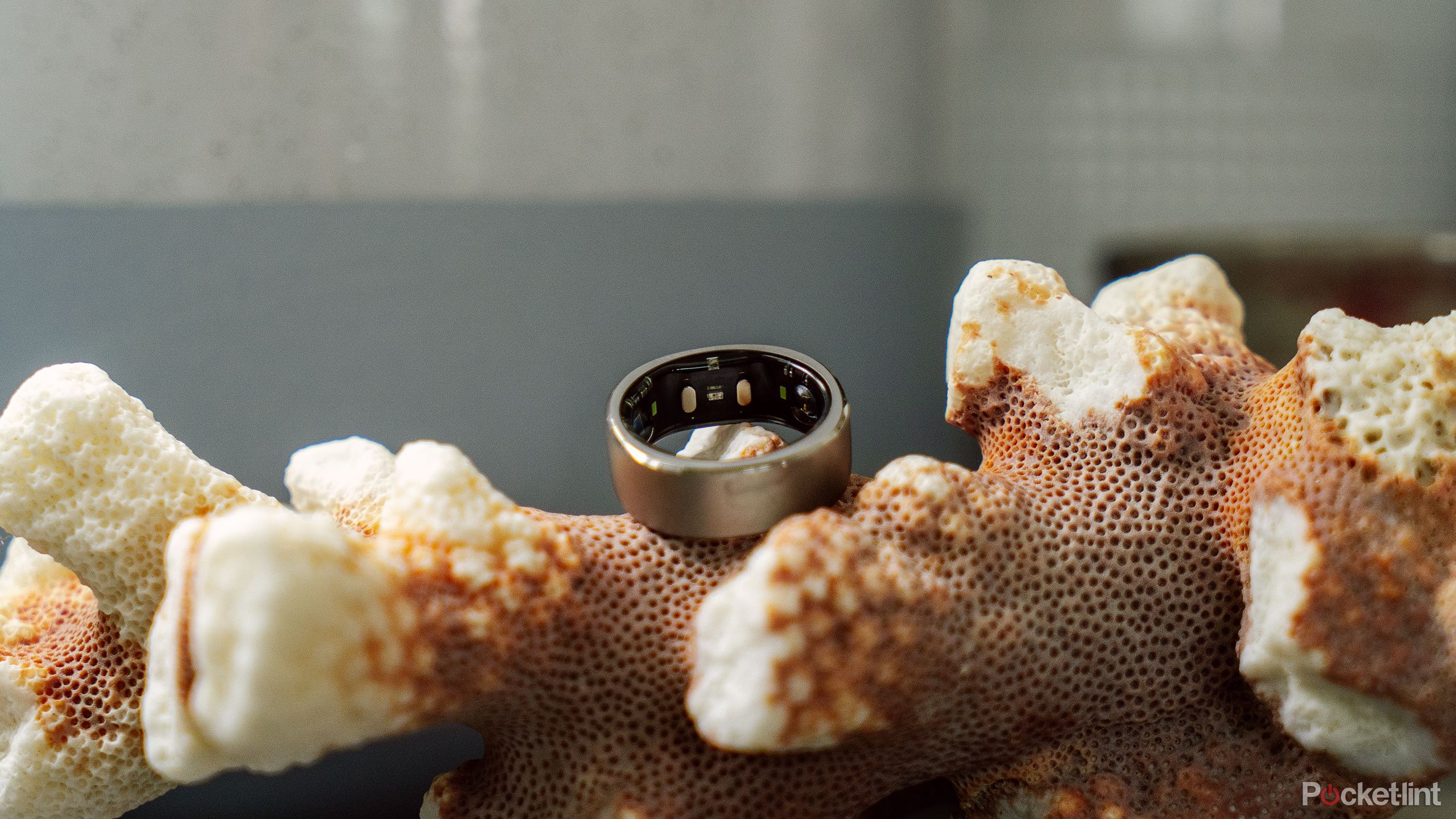 The RingConn Smart Ring on a piece of coral. 