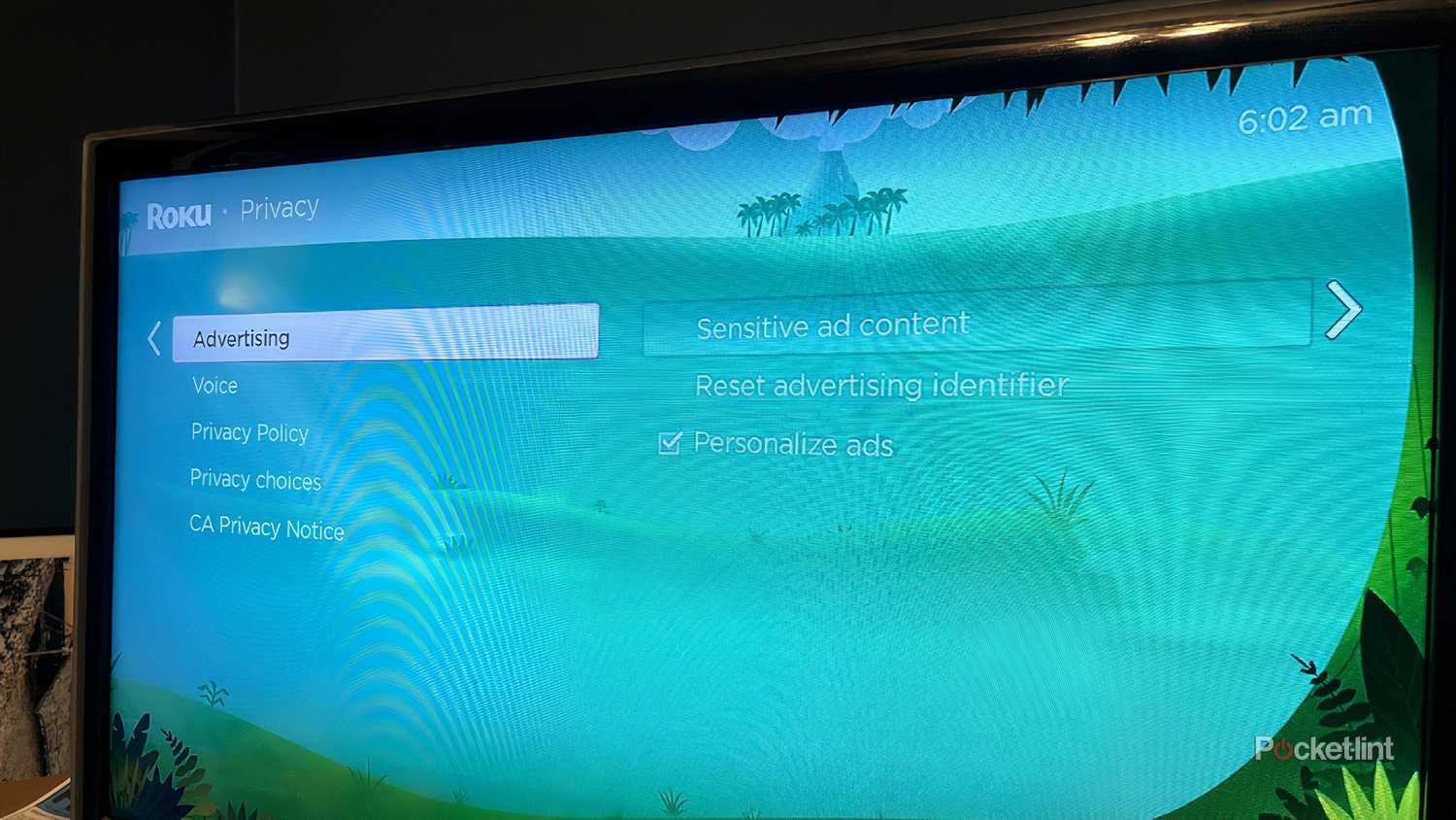 How to get rid of Roku TV ads